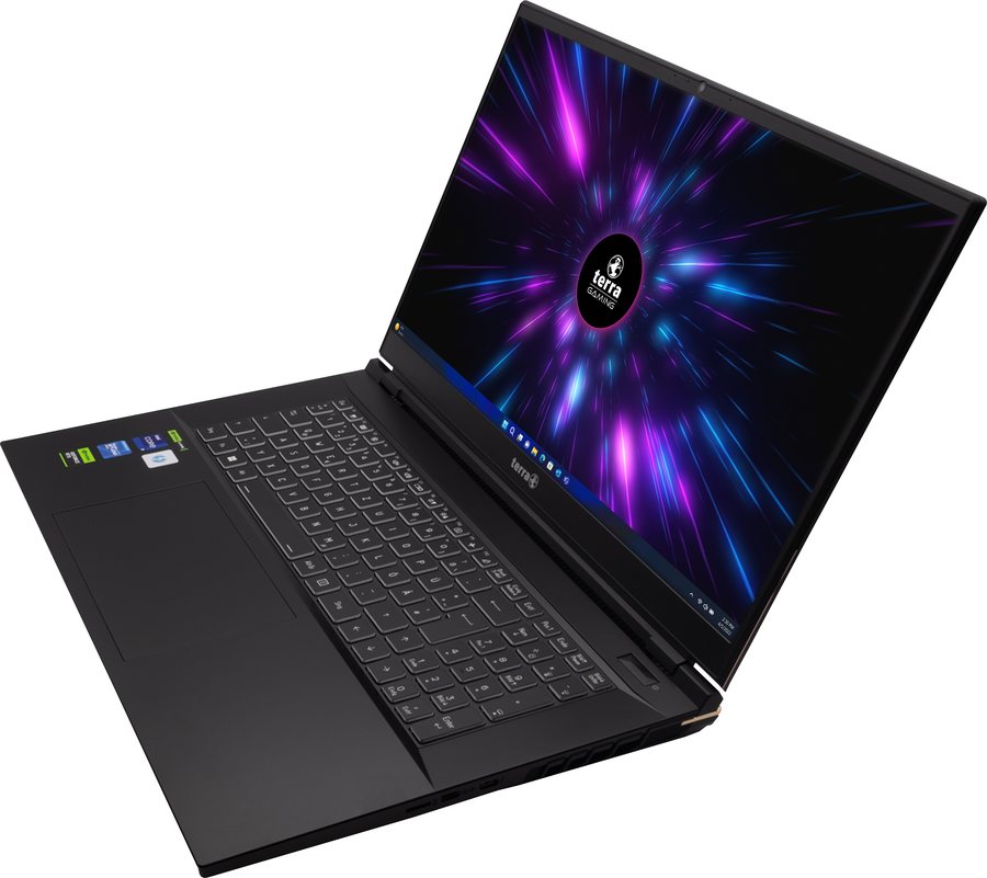 PC gamer Terra
