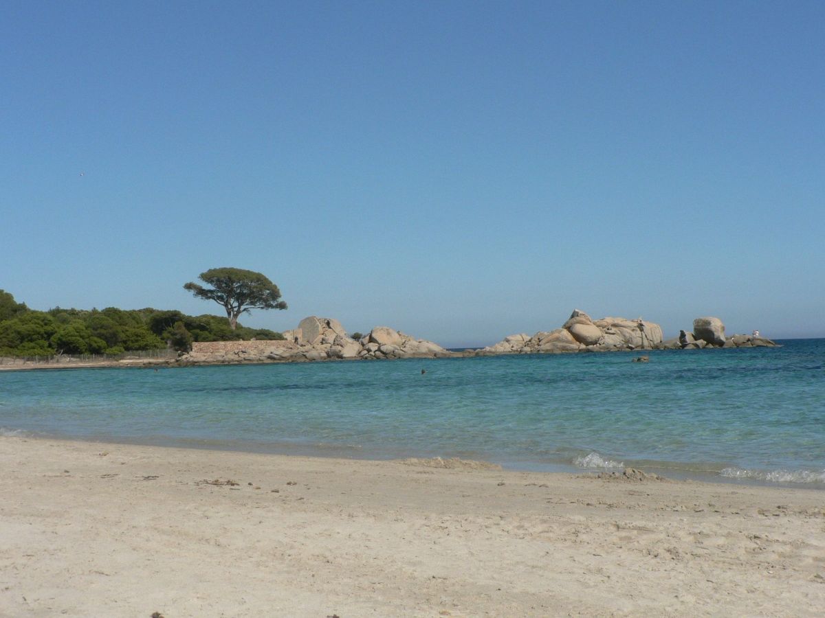 Encaissement mobile sur la plage avec le TPE caisse Nextore